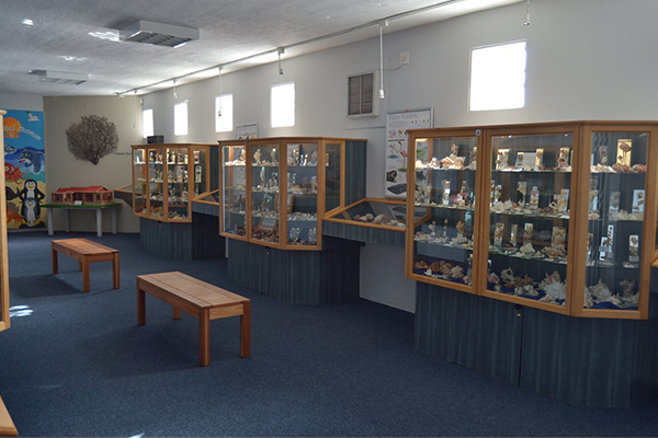 J-Bay Shell Museum