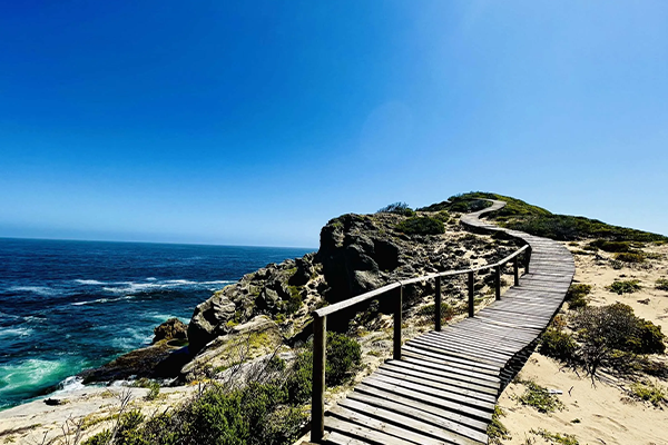 Robberg Nature Reserve